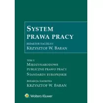 System prawa pracy T.10 Praca zbiorowa - Prawo System prawa pracy T.10 Praca zbiorowa - Prawo - miniaturka - grafika 1