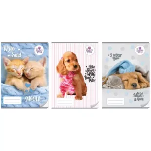 Beniamin Zeszyt A4/32K kolor 3-linie The sweet pets (10szt) - Zeszyty szkolne - miniaturka - grafika 1