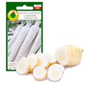 Nasiona i cebule - PIETRUSZKA KORZENIOWA CUKROWA 5g NASIONA BEZ GMO - miniaturka - grafika 1