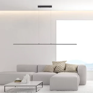 Paul Neuhaus PURE Pure-Lite wisząca LED 160cm antracyt - Lampy sufitowe - miniaturka - grafika 1