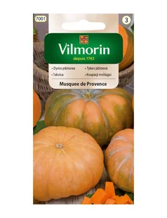 DYNIA MUSQUEE DE PROVENCE 2G - Nasiona i cebule - miniaturka - grafika 1