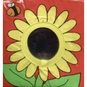 Komiksy obcojęzyczne - Ladybird Shiny flower - miniaturka - grafika 1