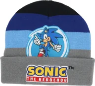 Czapki dla dzieci - Czapka zimowa Sonic Wygodna i ciepła czapka dla dzieci Grey - miniaturka - grafika 1