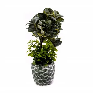 Zielona Roślina W Doniczce Dekoracja Różne Wzory - Sztuczne kwiaty - miniaturka - grafika 1