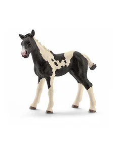 Schleich Figurka "Pinto foal" do zabawy - 3+ - Zabawki kreatywne - miniaturka - grafika 1