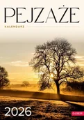 Kalendarze - Opress Kalendarz 2026 A4 wieloplanszowy Pejzaże - kalendarz - miniaturka - grafika 1