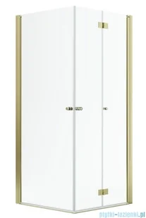 Radaway Nes Gold KDD B / KDD I kabina 100x80cm prawa złoty połysk przejrzyste 10024100-09-01R/10015080-09-01L - Kabiny prysznicowe Radaway Nes Gold KDD B / KDD I kabina 100x80cm prawa złoty połysk przejrzyste 10024100-09-01R/10015080-09-01L - Kabiny prysznicowe - miniaturka - grafika 1