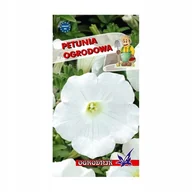Nasiona i cebule - Petunia ogrodowa biała nasiona 0,1g / O / - miniaturka - grafika 1