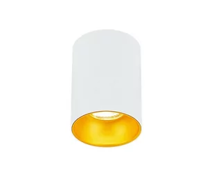 Punktowa oprawa sufitowa natynkowa ZAMA White Gold GU10 okrągła biała, środek złoty IP20 EDO777342 EDO - Oprawy, klosze i abażury - miniaturka - grafika 1