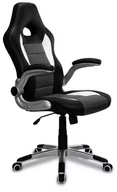 Fotele i krzesła biurowe - Fotel biurowy HOME-FEST GTR, czarno-szary, 125x53x72 cm - miniaturka - grafika 1