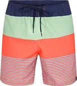 Kąpielówki męskie - Firefly FIREFLY Szorty kąpielowe męskie Kemono Navy Dark, L 302375 - miniaturka - grafika 1