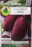 Nasiona i cebule - BURAK ĆWIKŁOWY RYWAL - RYWAL OŻA 5g GC 1 PNOS - miniaturka - grafika 1