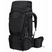 Plecaki - Plecak trekkingowy Jack Wolfskin DENALI 65+10L MEN - miniaturka - grafika 1