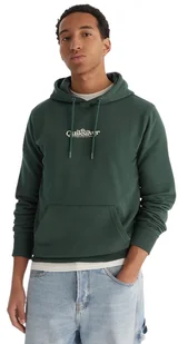 bluza męska QUIKSILVER SCREEN FLEECE FINELINE HOODIE TREKKING GREEN - Bluzy męskie - miniaturka - grafika 1