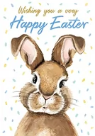 Kartki okolicznościowe i zaproszenia - Kartka wielkanocna Open Bunny - 18 x 12 cm - Republika Regal Publishing - miniaturka - grafika 1