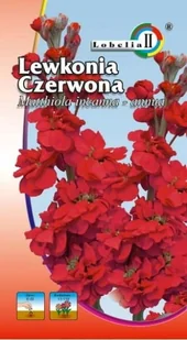Lewkonia czerwona 0,5g / L / - Nasiona i cebule - miniaturka - grafika 1