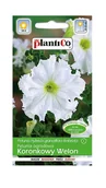Nasiona i cebule - Petunia ogrodowa Koronkowy Welon 0,05 g Plantico - miniaturka - grafika 1