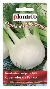 Plantico Fenkuł - Nasiona i cebule - miniaturka - grafika 1