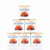 Zdrowa żywność - Junior Flavon zestaw 6 sztuk - miniaturka - grafika 1