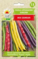 Nasiona i cebule - Fasola szparagowa karłowa Mix nasiona warzyw - miniaturka - grafika 1