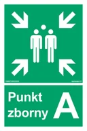 Systemy ekspozycyjne i znaki informacyjne - AC043 PUNKT ZBORNY A, TS - PŁYTA TD FOTOLUMINESCENCYJNA; (700X1050MM) - miniaturka - grafika 1