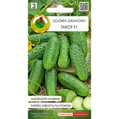 Nasiona i cebule - Ogórek gruntowy Tarot F1 nasiona Pnos - miniaturka - grafika 1