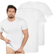 Koszulki męskie - KAPPA koszulka męska T-shirt krótki rękaw sportowa bawełna na lato 2pak XXL - miniaturka - grafika 1