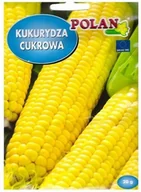 Nasiona i cebule - Kukurydza cukrowa Złota Karłowa 20 g POLAN - miniaturka - grafika 1