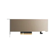 Karty graficzne - Karta Graficzna PNY Nvidia A2 16GB GDDR6 | TCSA2MATX-PB - miniaturka - grafika 1