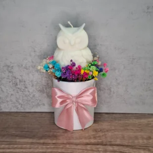 Flower Box Świece Sojowe Prezent Podziękowania dla Nauczyciela Sowa - Świece - miniaturka - grafika 1