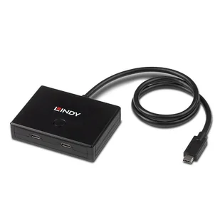 Adap Lindy 2-portowy przełącznik USB 3.2 Gen 1 Typ C - Huby USB - miniaturka - grafika 1