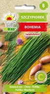 Nasiona i cebule - Toraf Szczypiorek Bohemia aromatyczny 2g - miniaturka - grafika 1