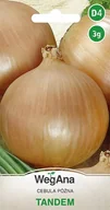 Nasiona i cebule - Cebula Tandem 3g nasiona - WegAna - miniaturka - grafika 1