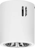 Lampy sufitowe - Lampa sufitowa Orno KORIN 10, oprawa typu downlight, 60W, E27, stal, biała - miniaturka - grafika 1