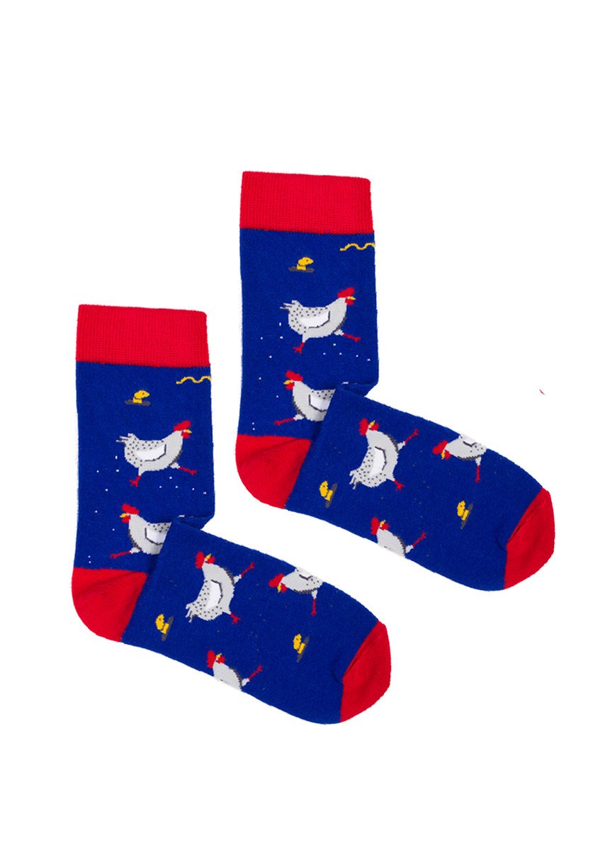 Skarpetki Kurki 42-46