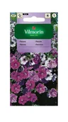 Nasiona i cebule - Petunia zwisająca mieszanka 0,1 g Vilmorin - miniaturka - grafika 1