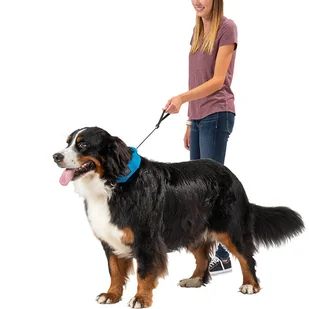 Nite Ize - Obroża dla psa ze smyczą RadDog All-In-One - XL - Czerwona - RRLXL-10-R3 - Akcesoria turystyczne - miniaturka - grafika 2
