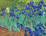 Plakaty - Galeria Plakatu, Plakat, Irysy, Vincent Van Gogh, 42x29,7 cm - miniaturka - grafika 1