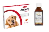 Suplementy i witaminy dla psów - BIOVICO ANTINOL SIZAROL PIES 30 tabletek NA STAWY + Lab-V Olej z Łososia 100% Dla Psa i Kota w Każdym Wieku 100ml Tłoczony Na Zimno GRATIS !!! - miniaturka - grafika 1