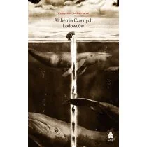 alchemia czarnych lodowców - Powieści historyczne i biograficzne - miniaturka - grafika 1