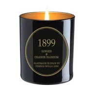 Świece - Cereria Molla - Świeca Premium 230 gr Ginger & Orange Blossom - miniaturka - grafika 1