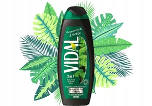 Vidal Men Peppermint szampon i Ginkgo 3in1 żel pod prysznic-Face 250 ML - Kosmetyki do kąpieli - miniaturka - grafika 2