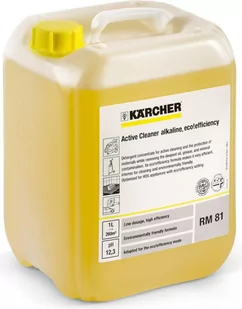 Karcher Środek do czyszczenia aktywnego - Środki do kuchni i łazienki - miniaturka - grafika 1