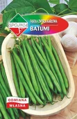Nasiona i cebule - NASIONA Fasola Zwykła Karłowata Batumi 50g SPÓJNIA 332896 - miniaturka - grafika 1