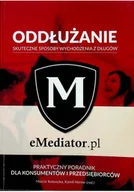 Biznes - Oddłużanie - miniaturka - grafika 1