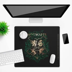 Podkładka ERT GROUP Harry Potter 019 - Podkładki pod mysz - miniaturka - grafika 1
