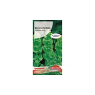 Nasiona i cebule - Nasiona Dzwony irlandzkie zielone 1g - Torseed - miniaturka - grafika 1