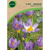 Nasiona i cebule - Krokus Siberi Tricolor 5/7 5szt. Cebulki kwiatów Geolia - miniaturka - grafika 1