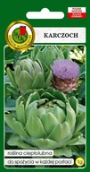 Nasiona i cebule - Karczoch Zwyczajny Vert De Provence 1 g PNOS - miniaturka - grafika 1