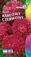 Nasiona i cebule - Aster karłowy czerwony 1g / L / - miniaturka - grafika 1